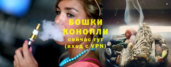 шишки Горняк