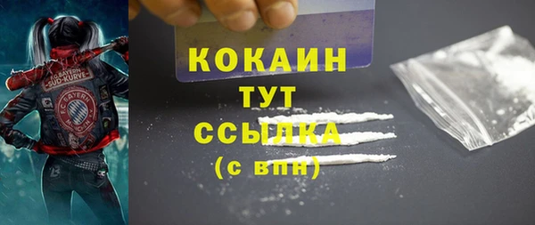 шишки Горняк