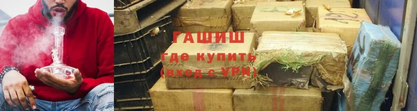 шишки Горняк