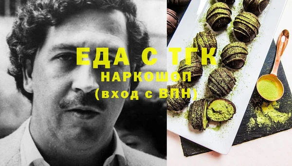 шишки Горняк