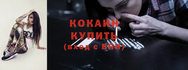 шишки Горняк