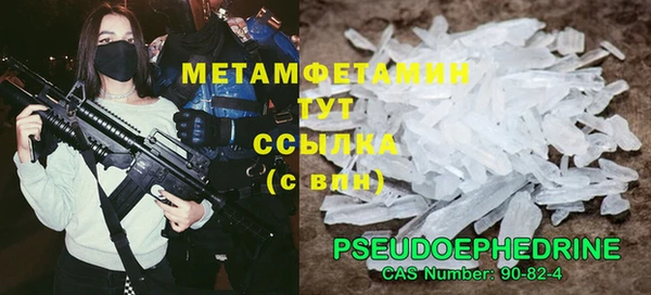 шишки Горняк