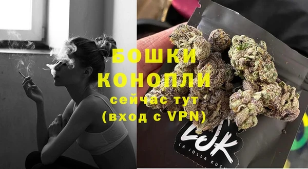 шишки Горняк