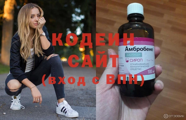 шишки Горняк