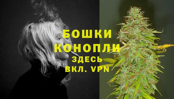 шишки Горняк