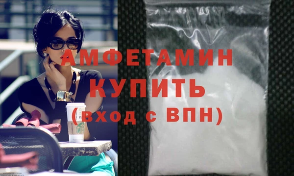 шишки Горняк