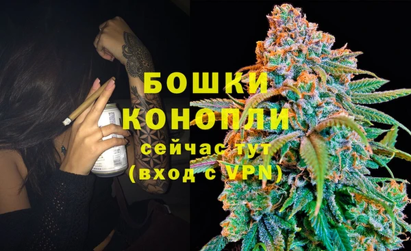 шишки Горняк