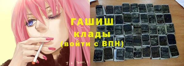 шишки Горняк