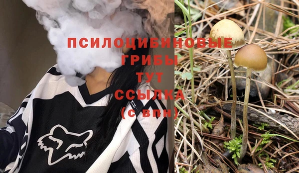 шишки Горняк