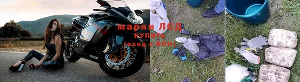 шишки Горняк