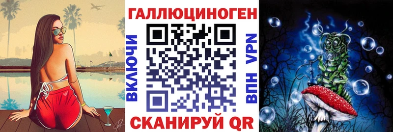 даркнет сайт  Новосибирск  Галлюциногенные грибы прущие грибы 