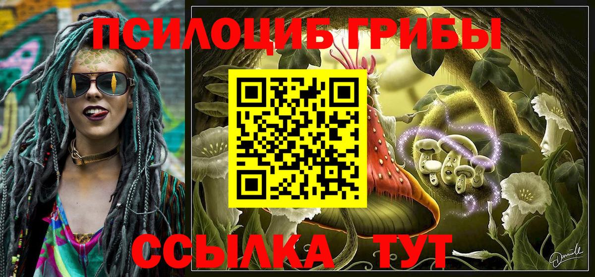 Псилоцибиновые грибы Magic Shrooms Новосибирск