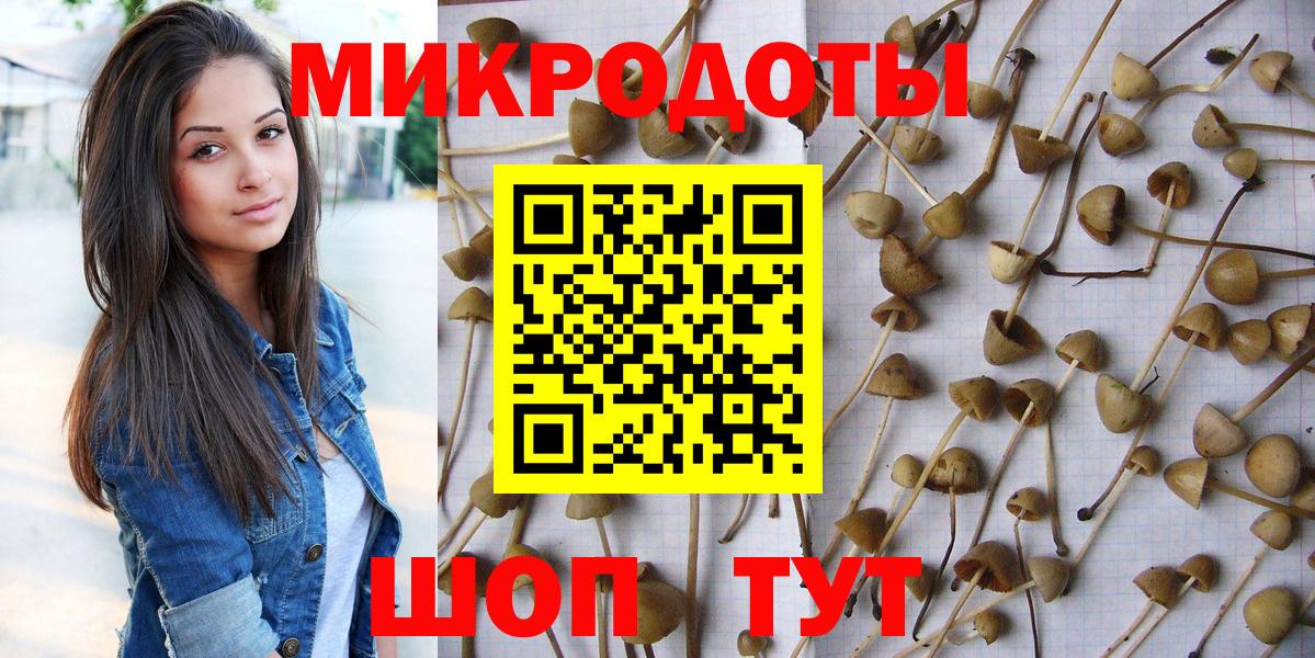 Новосибирск  Галлюциногенные грибы GOLDEN TEACHER  Вход с VPN 