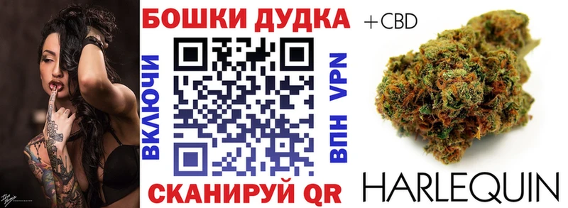 Бошки марихуана сатива Новосибирск